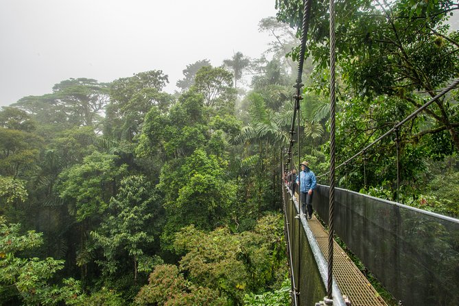 Suspension Bridges, Fortuna Waterfall, Typical Lunch - Swimming at La Fortuna Waterfall