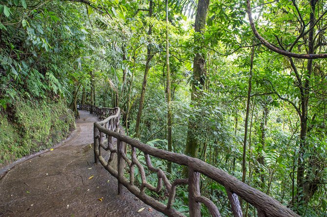 Suspension Bridges, Fortuna Waterfall, Typical Lunch - Enjoying the Typical Costa Rican Lunch
