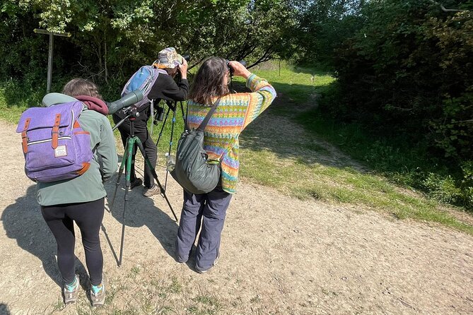 Sussex Birdwatching Private Guided Day Tour - Tour Itinerary