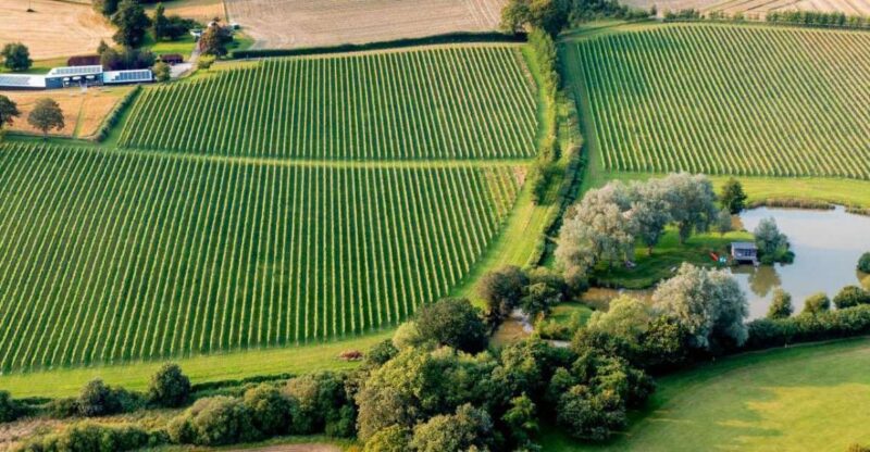 Sussex Vineyard Tour - Scenic Highlights