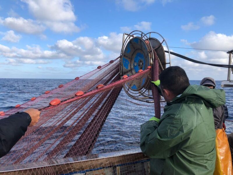 Sustainable Fishing Tourism Egadi Islands With Lunch on Board - Key Points