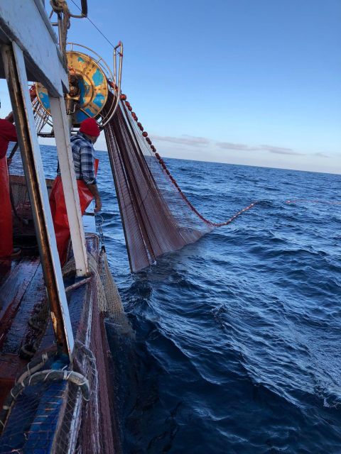 Sustainable Fishing Tourism Egadi Islands With Lunch on Board - Important Information