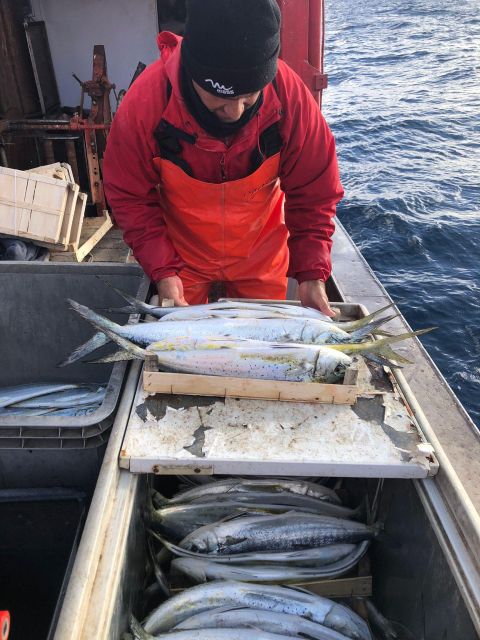 Sustainable Fishing Tourism Egadi Islands With Lunch on Board - Frequently Asked Questions