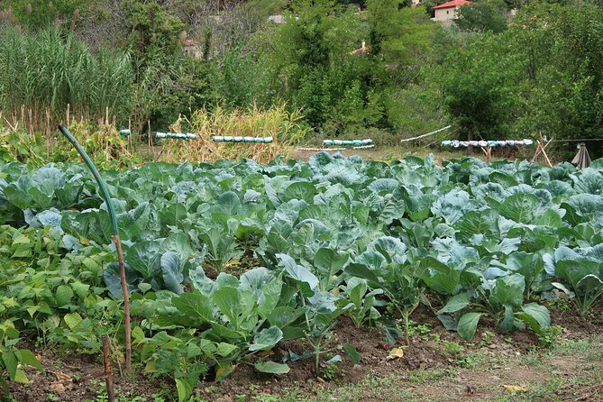 Sustainbable Cooking Class, Explore a Mountainous Village - Location and Accessibility