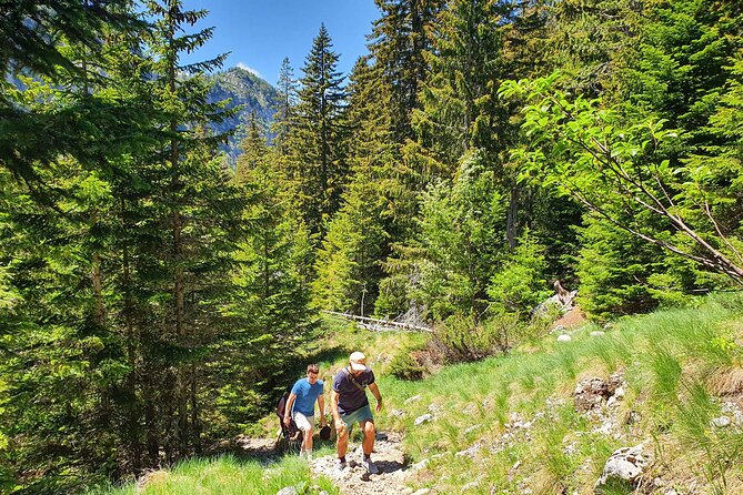 Sutjeska National Park Hike From Sarajevo - Transportation and Meeting