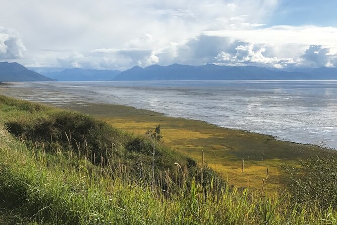 SUV-Private Transfer, Anchorage to Seward Cruise Ship Terminal - Customer Reviews Highlights