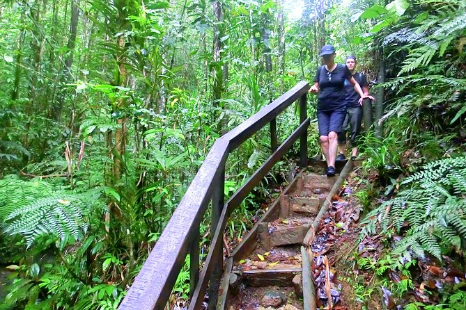 Suva Customized Tour- Private - Booking and Pricing