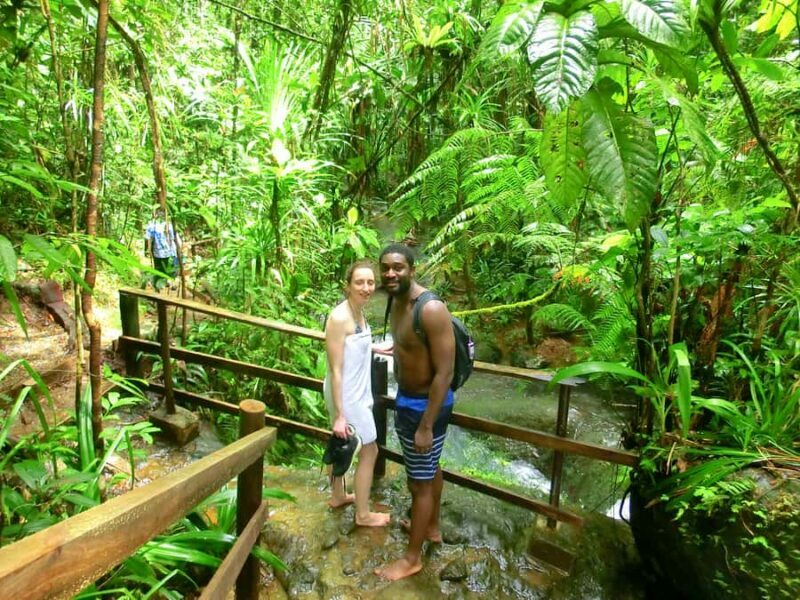 Suva: Fijian Nature and Waterfall Tour - Accessibility and Restrictions