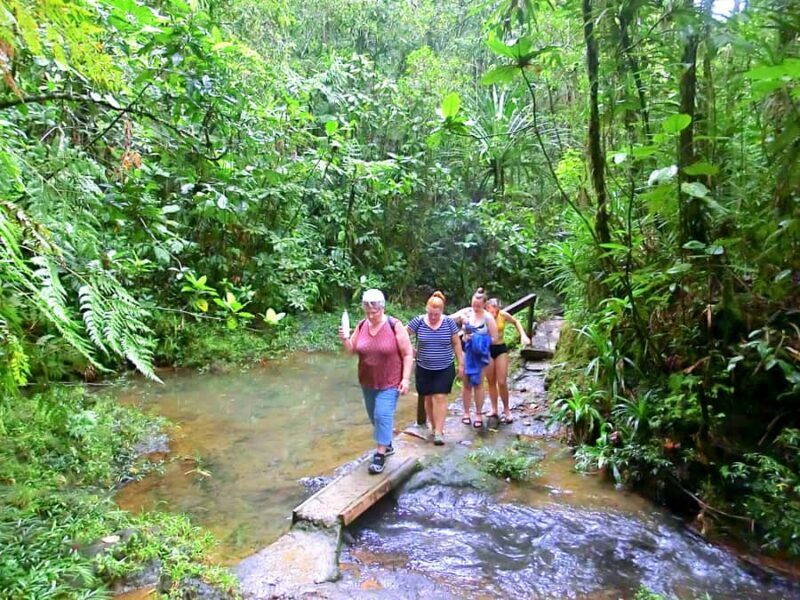 Suva: Half Day City Sightseeing Tour - Key Points