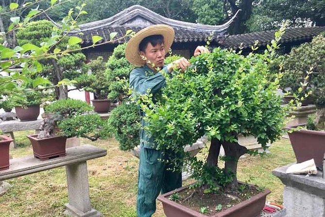 Suzhou Garden Tour From Shanghai: Review - Highlights of the Tour