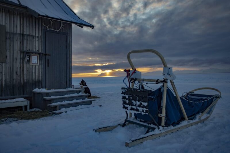 Svalbard: Dog Sledding and Northern Lights Tour With Hut … - Preparation and Guidelines