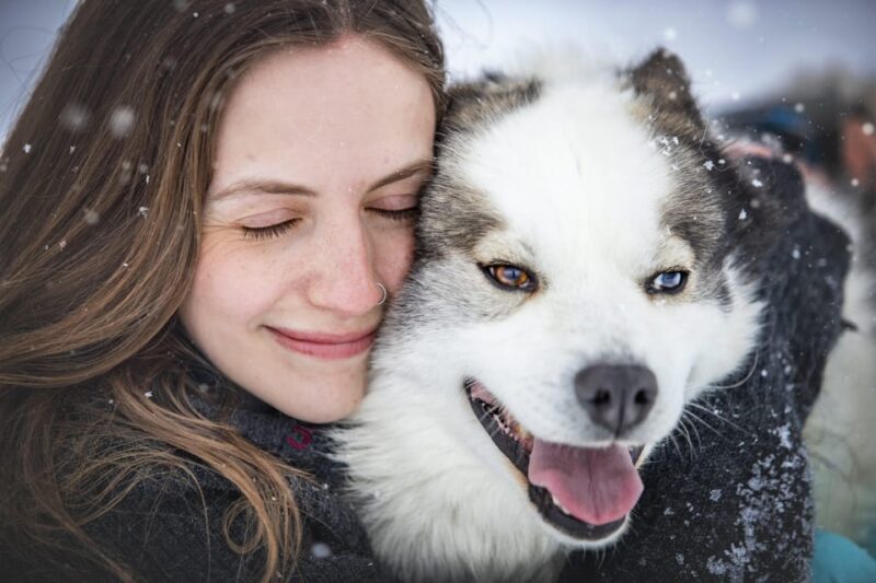 Svalbard: Dog Sledding and Northern Lights Tour With Hut … - Reserve Now and Pay Later