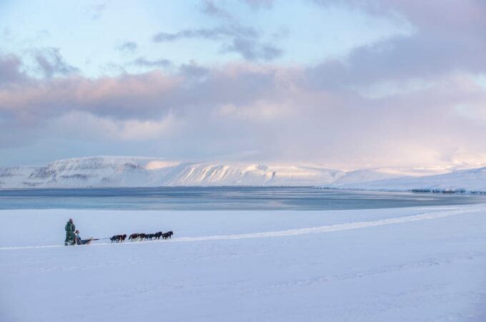 Svalbard: Dog Sledding and Northern Lights Tour With Hut … - Frequently Asked Questions