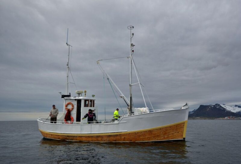 Svolvær: Fishing Trip on the Lofoten Sea - Key Points