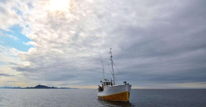 Svolvær: Fishing Trip on the Lofoten Sea - Fishing Experience
