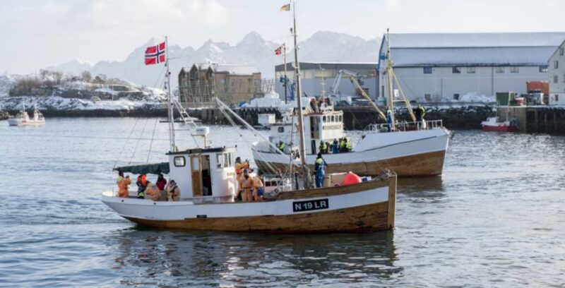 Svolvær: Fishing Trip on the Lofoten Sea - Scenic Environment