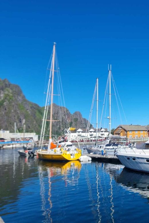 Svolvær, Lofoten Midnight Cruise - Key Points