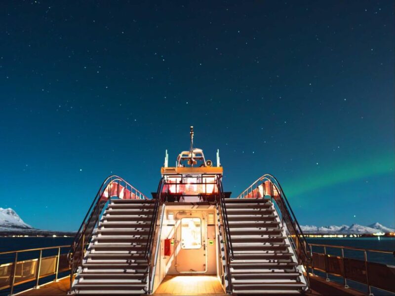 Svolvær: Northern Lights and Full Steam Cruise With Tasting - Onboard Features