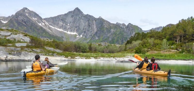 Svolvaer: Sea Kayaking Experience - Pricing and Booking Details