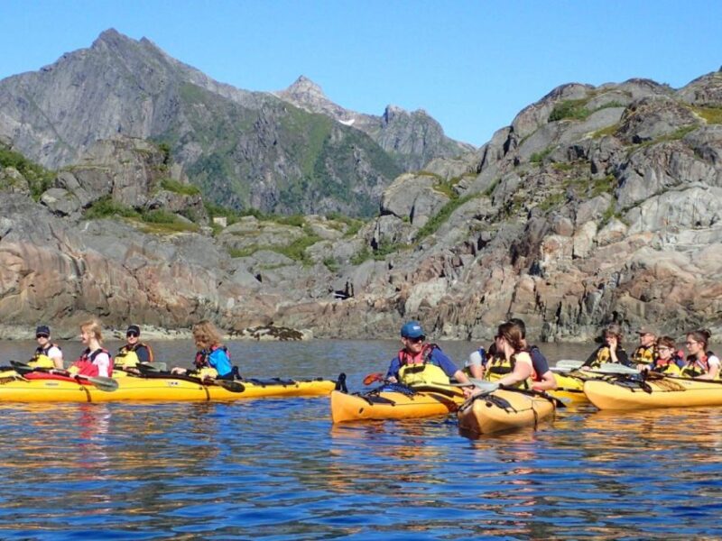 Svolvaer: Sea Kayaking Experience - Customer Reviews and Feedback