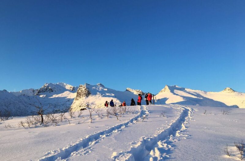Svolvær: Snowshoe Nature Explorer - Booking Information