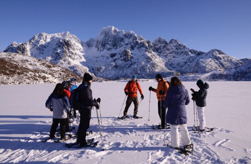 Svolvær: Snowshoe Nature Explorer - Experience Highlights