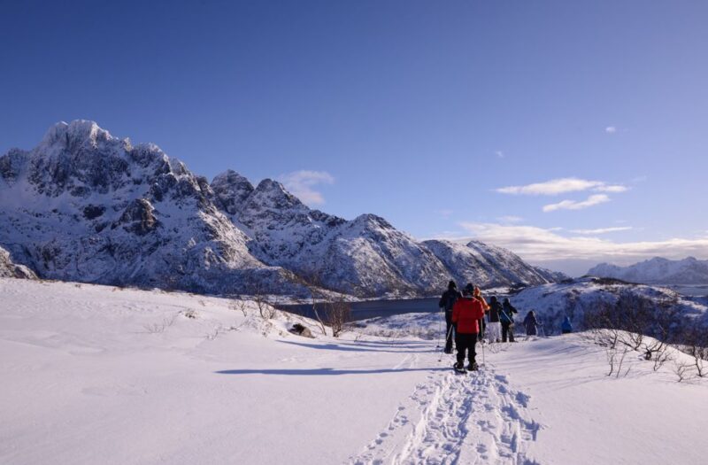 Svolvær: Snowshoe Nature Explorer - Included in the Tour