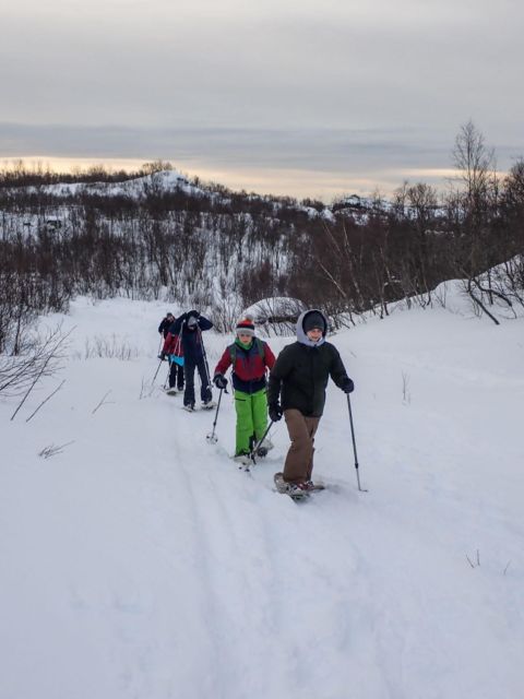 Svolvaer: Snowshoeing Half Day - Experience Highlights