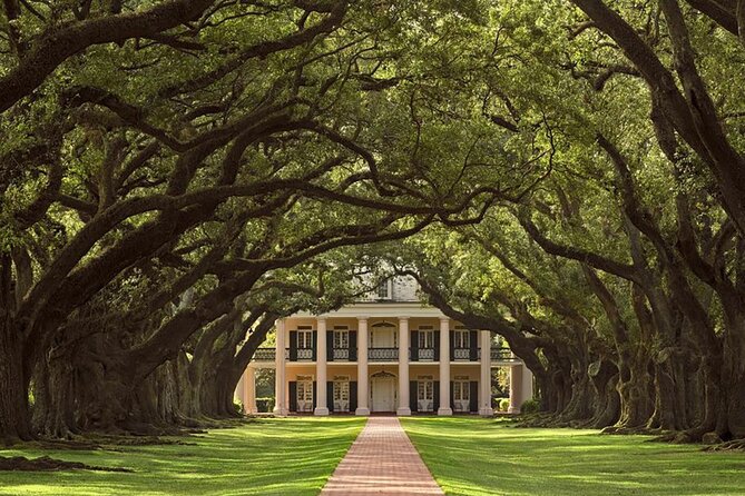 Swamp Boat Ride and Oak Alley Plantation Tour From New Orleans - Cancellation Policy