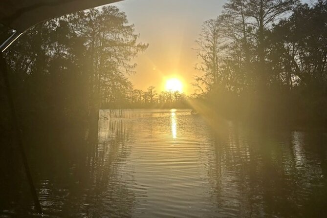 Swamp - Eco - Cruise and Walking Tour - Key Points