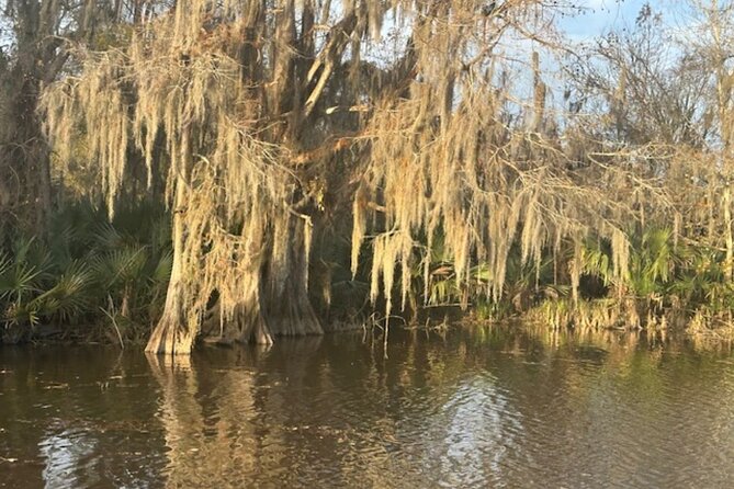 Swamp - Eco - Cruise and Walking Tour - Meeting and End Point Details