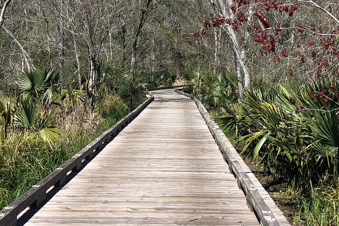 Swamp - Eco - Cruise and Walking Tour - Frequently Asked Questions