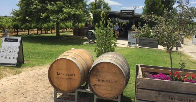 Swan Valley: Full-Day Wine Tour With Lunch - Key Points