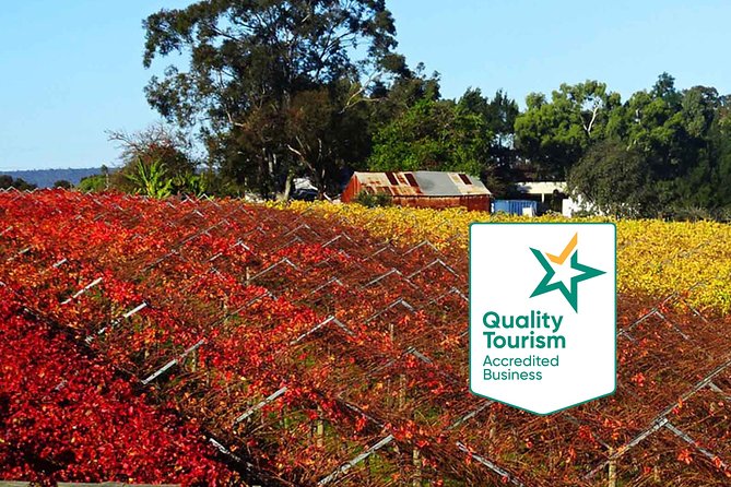 Swan Valley Region Private Day Tours - Transportation and Flexibility