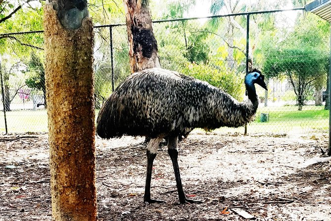 Swan Valley Tour - Pickup Information