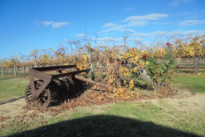 Swan Valley Tour From Perth: Wine, Beer and Chocolate Tastings - Additional Tour Information