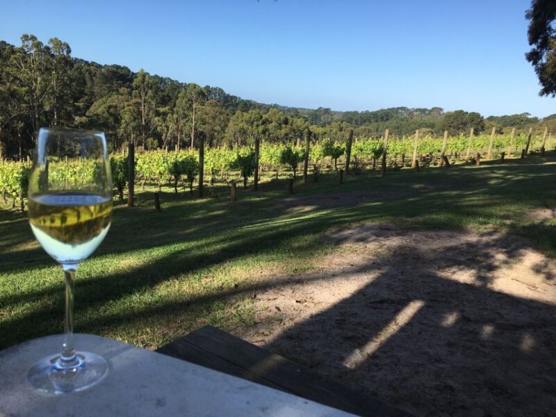 Swan Valley Wine Discovery: Private Tour From Perth - Transportation Included for Convenience