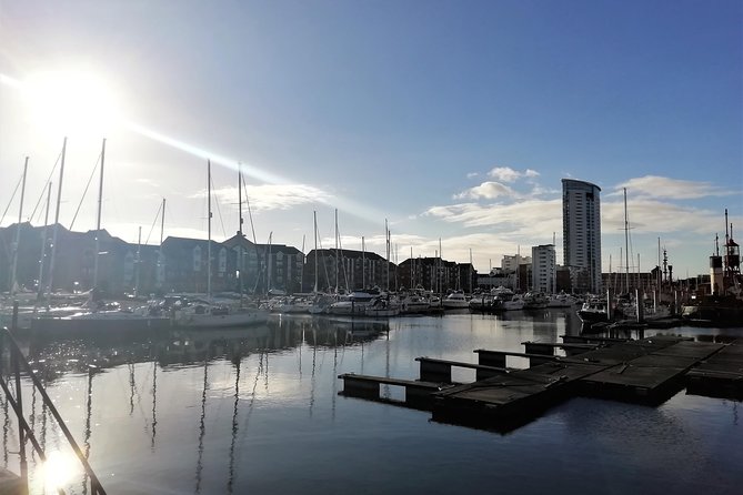 Swansea City Highlights Walking Tour - Accessibility