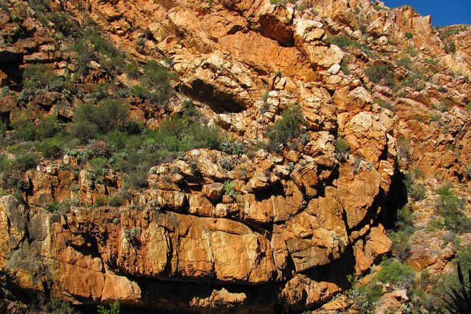 Swartberg Mountain Circular ALL Inclusive PRIVATE Day Tour - Meeting and Pickup