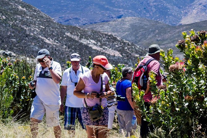 Swartberg Pass Tour Including Traditional Karoo Lunch - Hiking and Adventure Activities