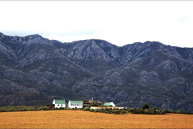 Swartberg Pass Tour Including Traditional Karoo Lunch - Traveler Reviews and Feedback