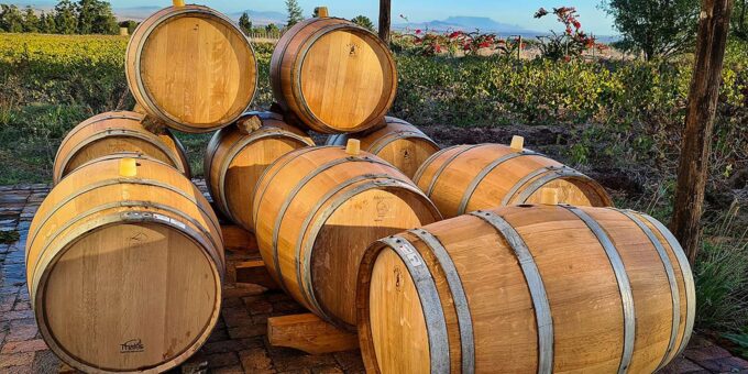 Swartland. Private Wine Tour With Winemaker. - Winery Tour and Tasting