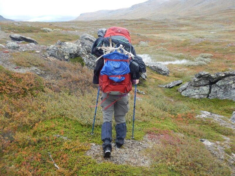 Swedish Lapland: a Trekking Week With Helicopterflight - Trekking in Nordic Wilderness