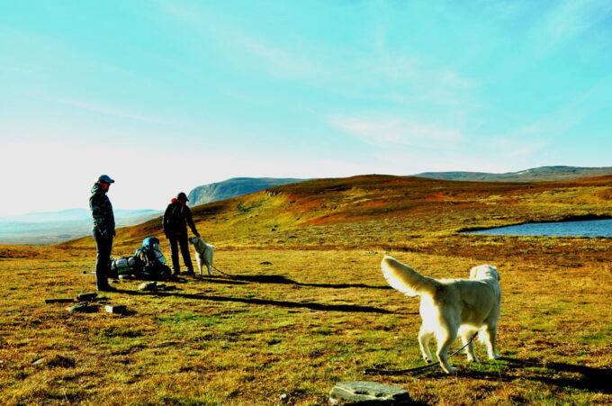 Swedish Lapland: a Trekking Week With Helicopterflight - Group Size and Tour Guidance