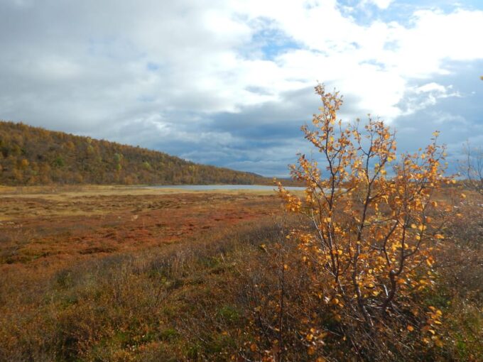 Swedish Lapland: a Trekking Week With Helicopterflight - Participant Equipment and Provisions
