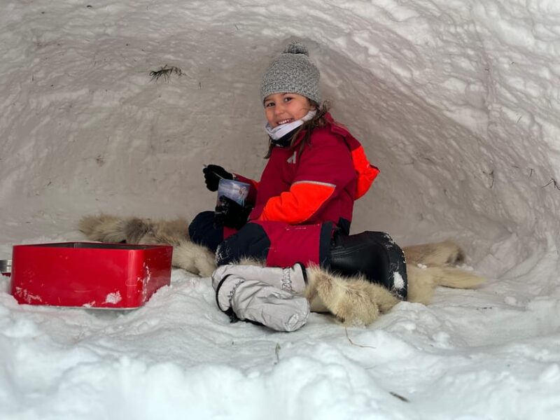 Swedish Lapland : Sled Dog and Reindeer Farm With the Family - Good To Know