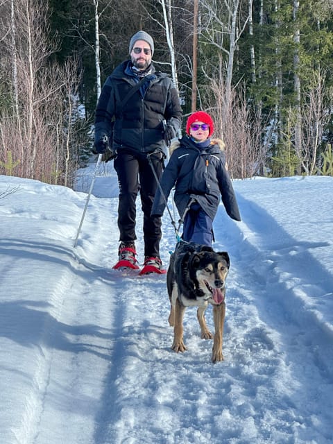 Swedish Lapland : Sled Dog and Reindeer Farm With the Family - Reindeer Farm Experience