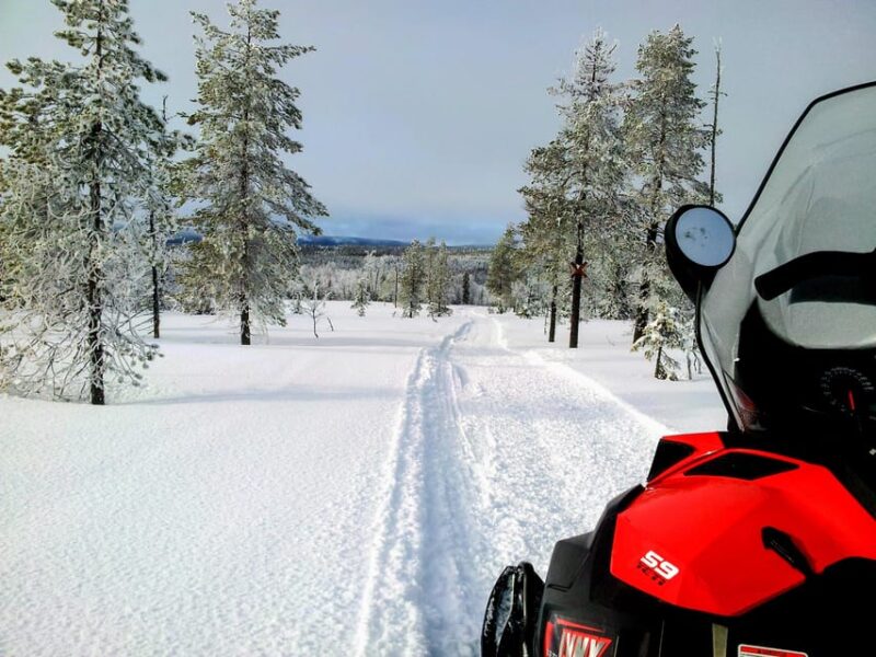 Swedish Lapland: Snowmobile Safari - Tour Highlights