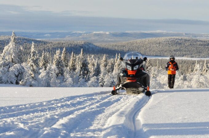 Swedish Lapland: Snowmobile Safari - Tour Languages