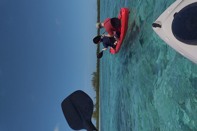 Sweetings Cay Mangrove Kayaking and Turtles - Kayaking With Turtles